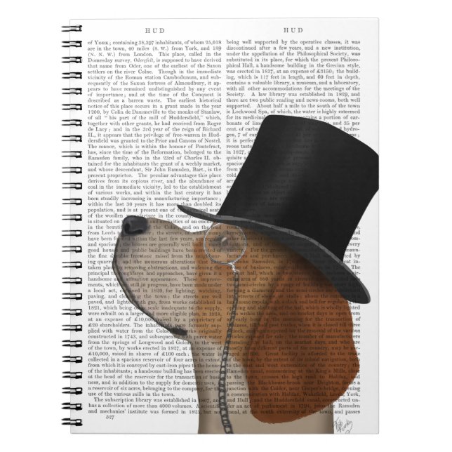 Carnet Beagle, Hound officiel et Casquette (Devant)