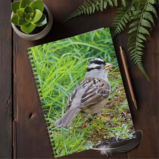 Carnet Beau Bruant à couronnes blanches dans l'herbe (White-Crowned Sparrow in the Grass Journal Cover Photo)