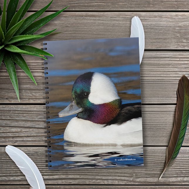 Carnet Beau canard à tête de buffle à l'étang d'hiver (Handsome Bufflehead Duck in the Pond Journal Cover Photo)