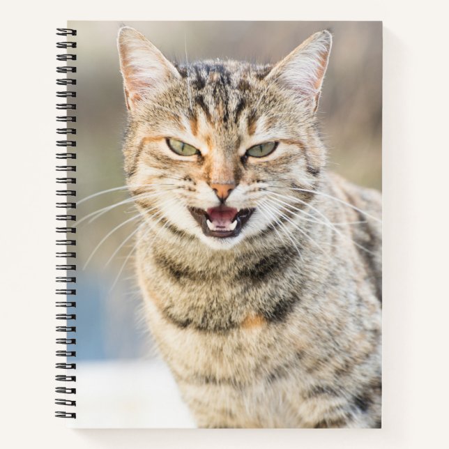 Carnet Beau chat (Devant)