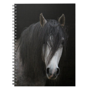 Carnet Beau Cheval