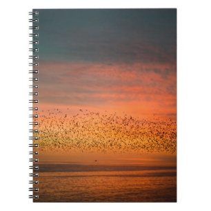 CARNET BEAU COUCHER DE SOLEIL AVEC OISEAUX