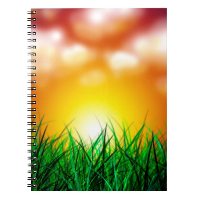 Carnet Beau lever de soleil sur un champ d'herbe (Devant)