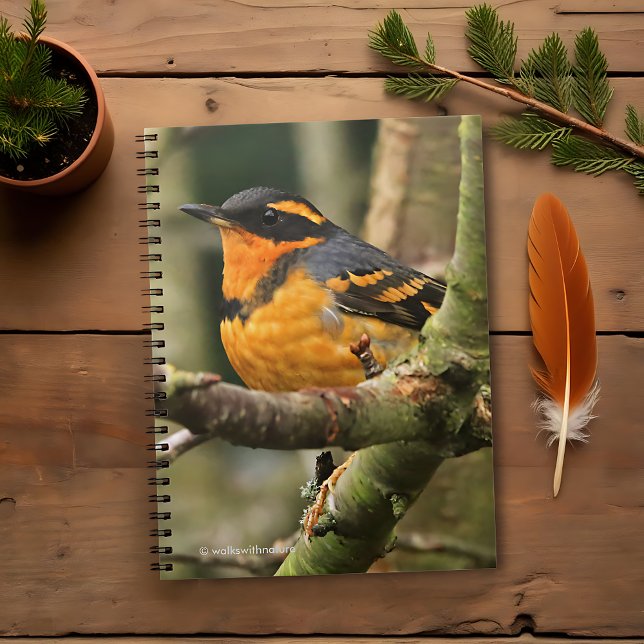 Carnet Beau oiseau-chanteur à gorge variée dans l'arbre (Beautiful Varied Thrush in the Tree Journal Cover Photo)