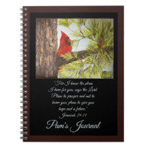Beau Red Bird Christian