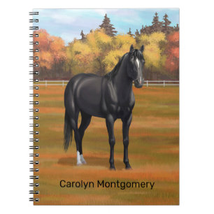 Carnet Beau Stallion du Quartier Noir