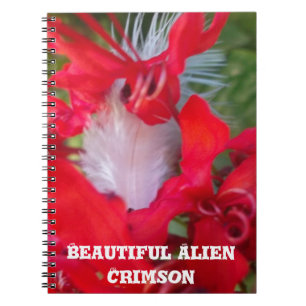 Carnet Beauté délicate : Fleur rouge avec plumes blanches
