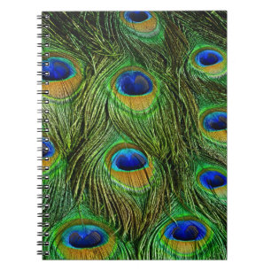 Carnet Beautiful Peacock Feathers