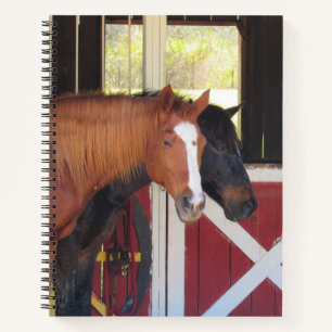 Carnet Beaux Chevaux - Portable Spiral
