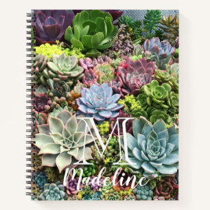 Carnet Beaux succulents
