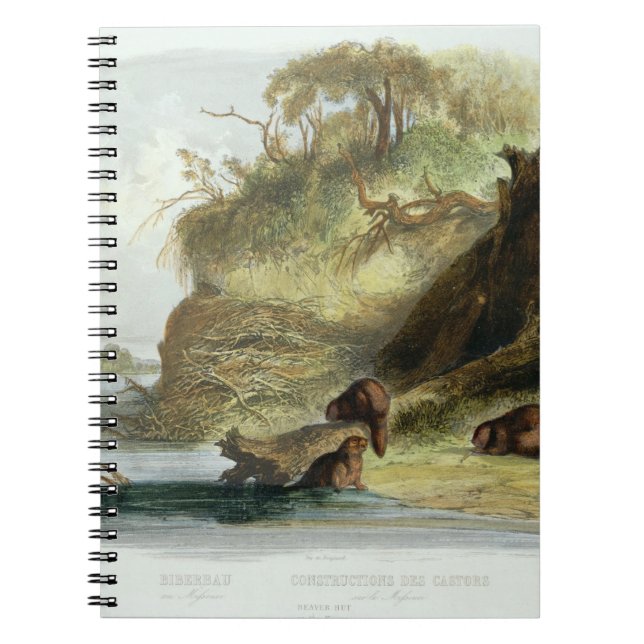 Carnet Beaver la hutte sur le Missouri, plaquez 17 du (Devant)
