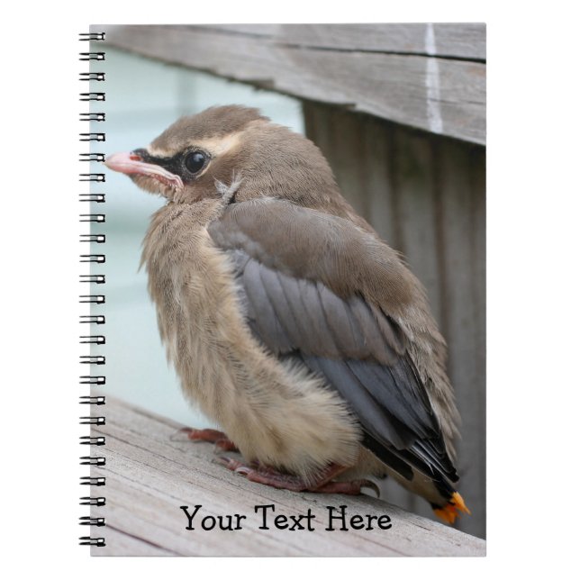 Carnet Bébé Cèdre cire Oiseau Nature Notebook (Devant)