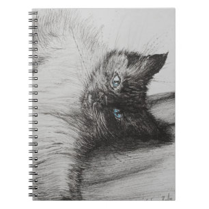 Carnet Bébé effronté