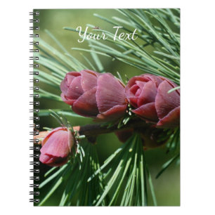 Carnet Bébé Miniature Pine Cônes Nature