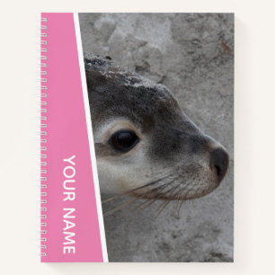 Carnet Bébé Otarie Nouveau-né Gros Plan Australie, Rose