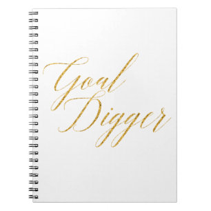 Carnet Bêcheur de but