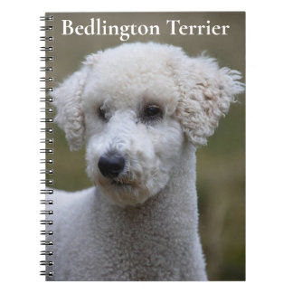 Carnet Bedlington Terrier