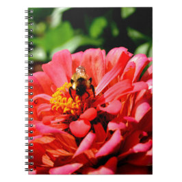Carnet Bee and coral zinnia