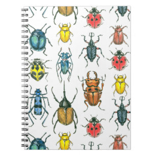 Carnet Beetles