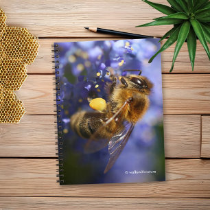 Carnet Belle abeille de miel sur la Californie Lilac