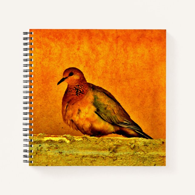 Carnet Belle colombe (Devant)