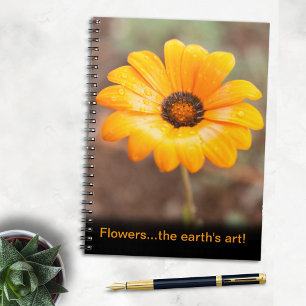 Carnet Belle Fleur de marguerite orange L'Art de la Terre