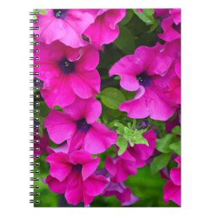 Carnet Belle impression de pétunias violet
