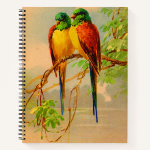 Carnet belle impression d'oiseaux