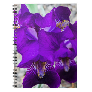 Carnet Belle iris violet