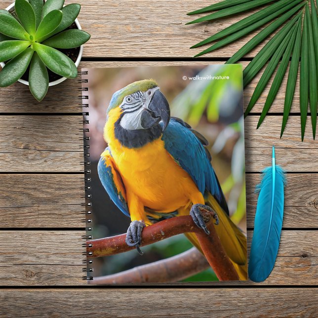Carnet Belle Macaw Bleue et Or (Beautiful Blue and Gold Macaw on a Branch Journal Cover Photo)