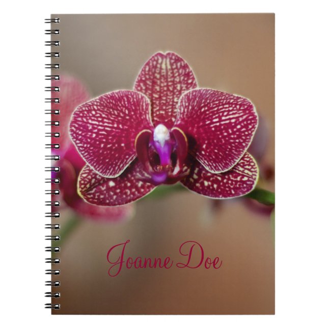 Carnet Belle orchidée rouge (Devant)
