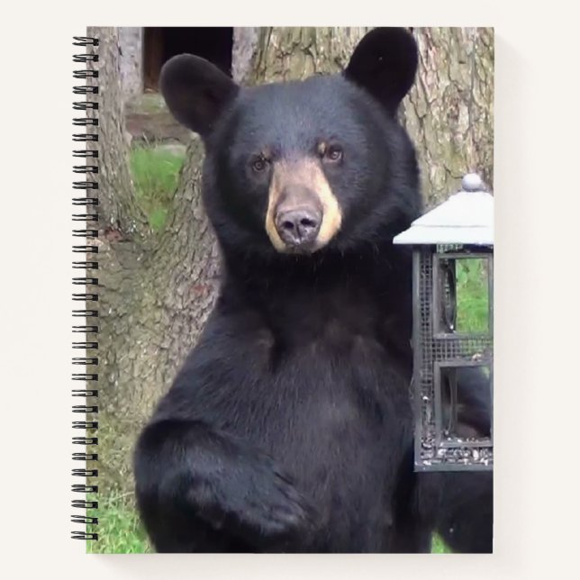 Carnet Belle Ours Noir (Devant)