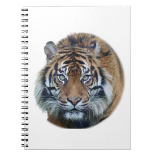Carnet Belle photo du visage du tigre du Bengale