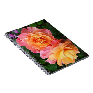 Carnet Belle photo rose rose et orange