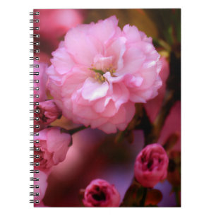 Carnet Belles fleurs de cerisiers rose printemps
