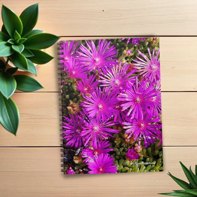 Carnet Belles Iceplants pourpres (Purple Iceplants Journal Cover Photo)