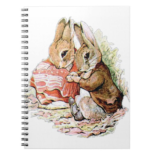 Carnet Benjamin Bunny tombe sur Peter Rabbit (Devant)