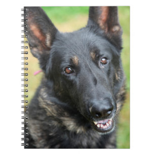 Carnet Berger allemand