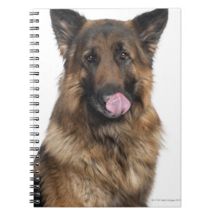 Carnet Berger allemand