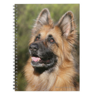 Carnet Berger allemand aux cheveux longs 1