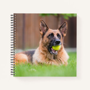 Carnet Berger Allemand Avec Bal De Tennis