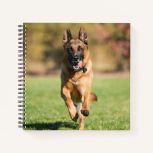 Carnet Berger allemand en marche