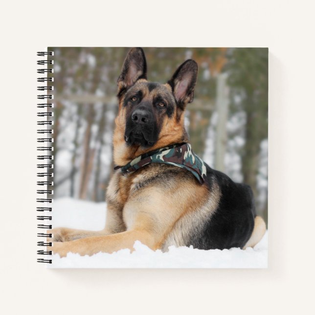 Carnet Berger Allemand En Neige (Devant)