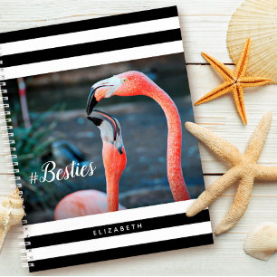Carnet Besoins Flamants roses roses Noirs Blancs Personna