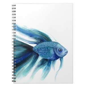 Carnet Bêta bleu