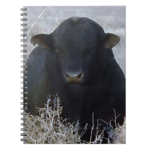 Carnet Bétail noirs Taureau