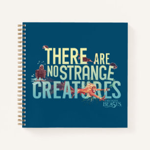 Carnet Bêtes Fantastiques - Il N'Y A Pas De Créatures Étr