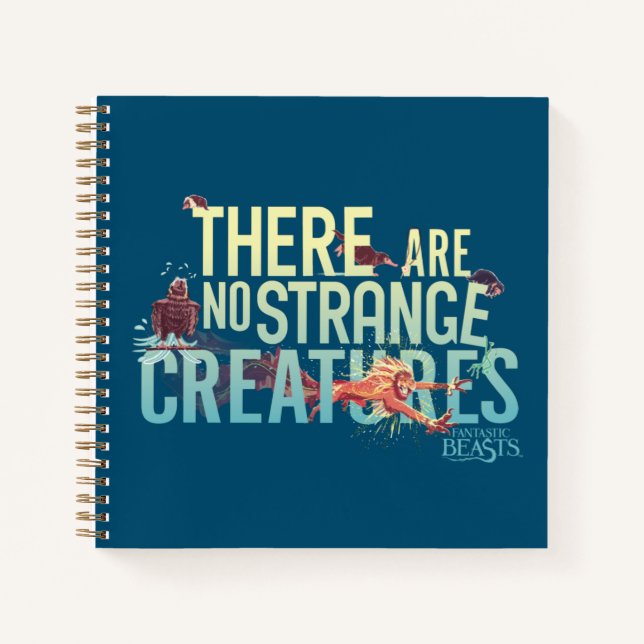 Carnet Bêtes Fantastiques - Il N'Y A Pas De Créatures Étr (Devant)