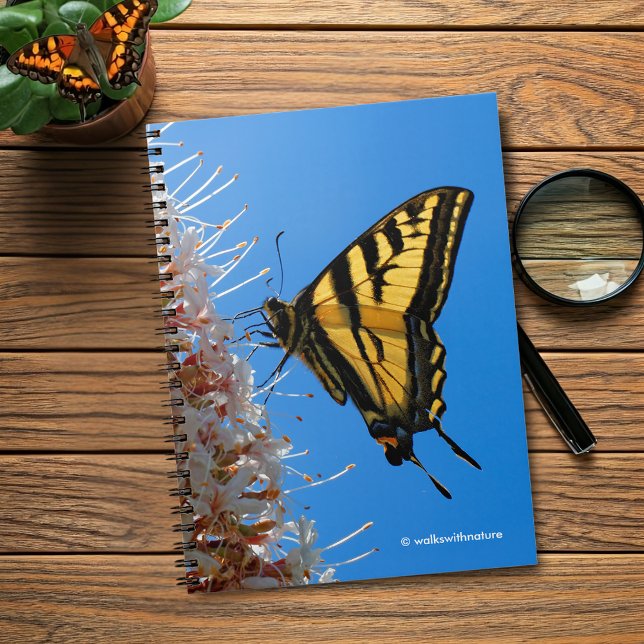 Carnet Beurre de queue de tigre occidental sur le Buckeye (Western Tiger Swallowtail Butterfly on the Buckeye Journal Cover Photo)