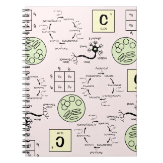 Carnet Biologie Science Enseignant Cellule Génétique Neur